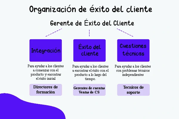 Grafica organización de éxito del cliente
